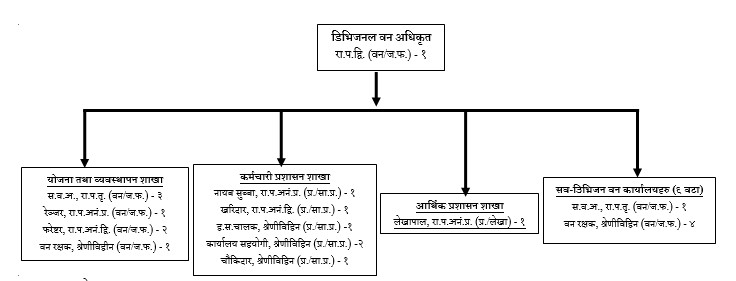 संगठन संरचना